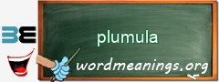 WordMeaning blackboard for plumula